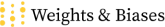 Weights & Biases logo
