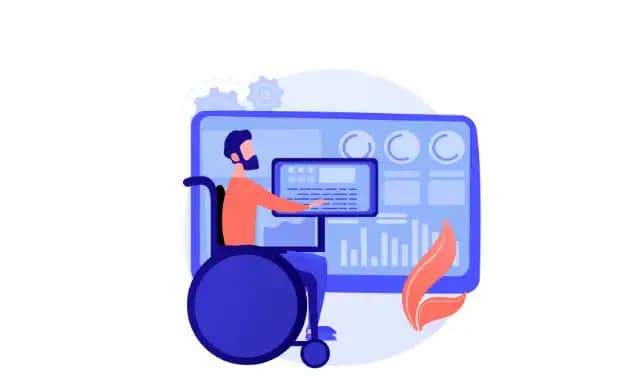 Accessibility Plugins for WordPress Website