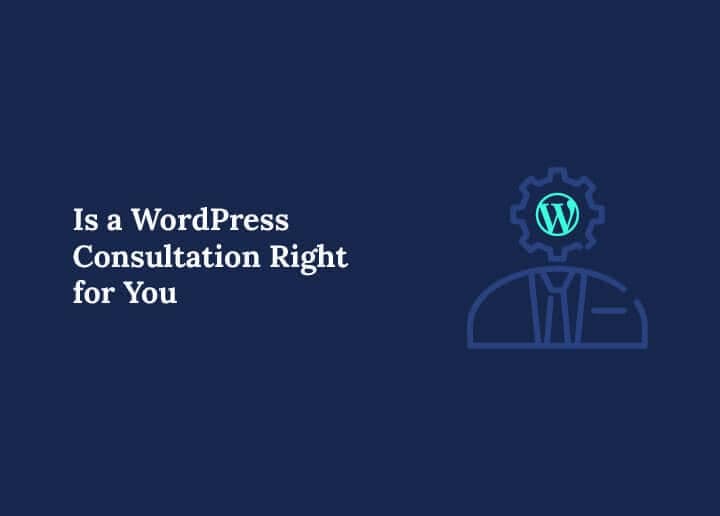 WordPress Consultation